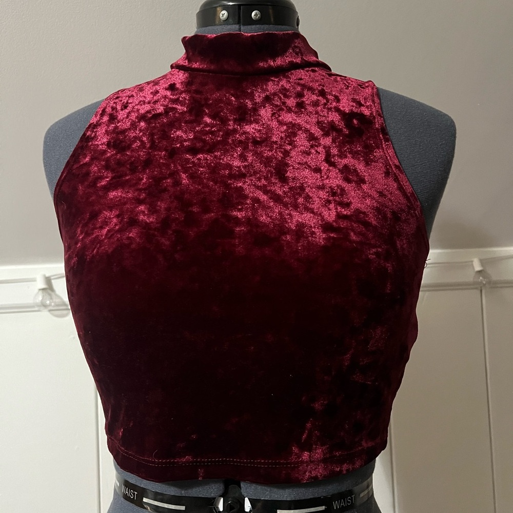 Dark Pink Velvet Crop Top